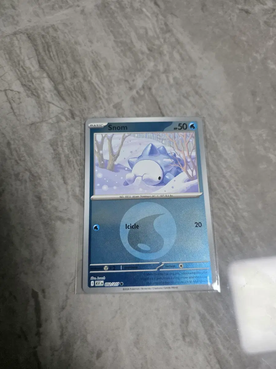 포켓몬카드[북미] 누니머기 홀로