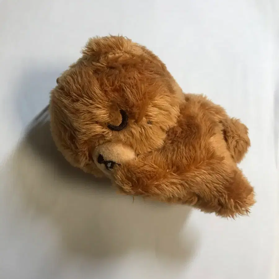 곰도(슬리핑 곰도)