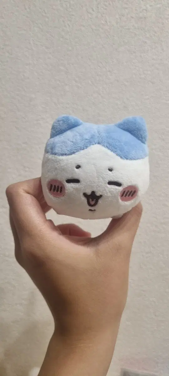 하치와레 인형