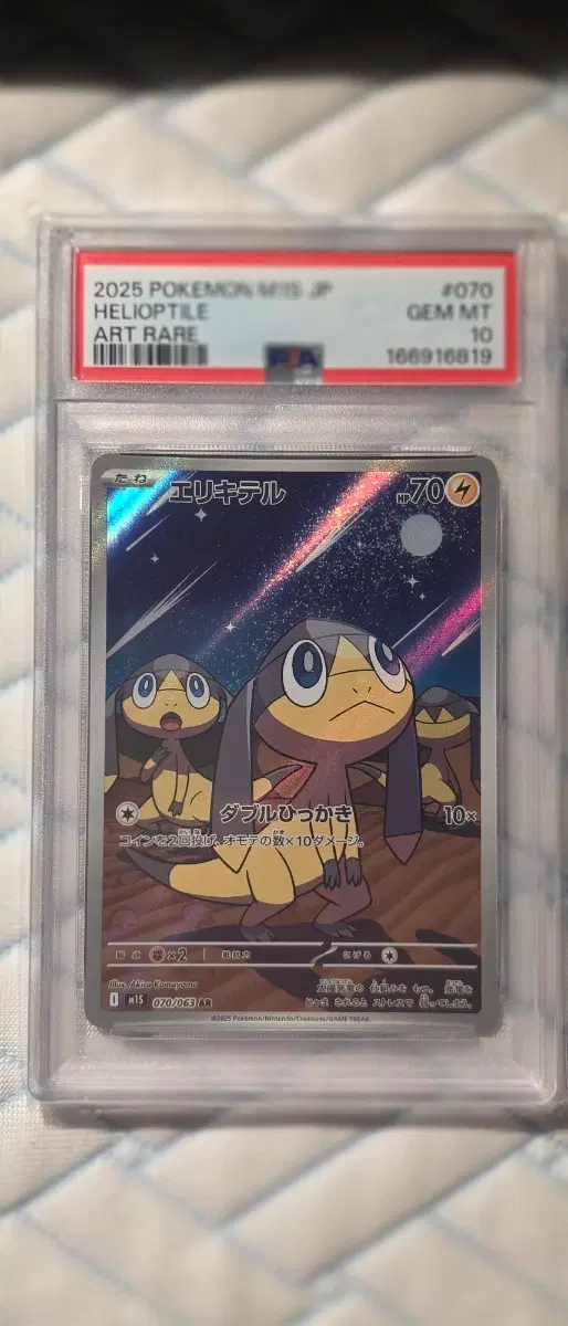 포켓몬카드 목도리키텔 psa10 일어판