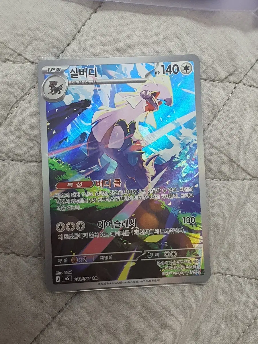 실버디 AR 093/081