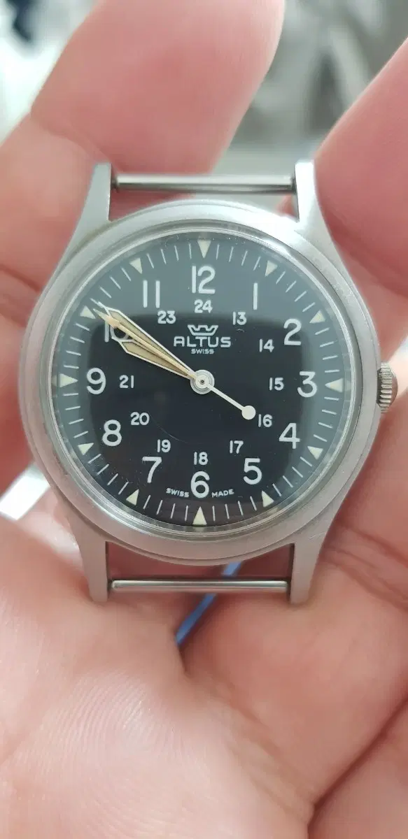 글라이신 알투스(GLYCINE ALTUS)