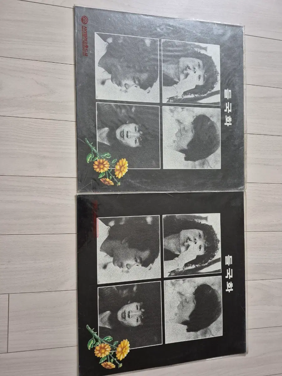 미개봉 개공 들국화 1집 LP 초판 2장 일괄 배송비포함
