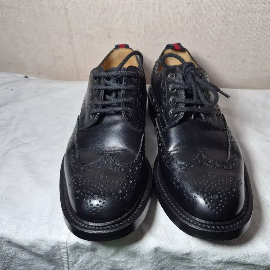 Gucci 구찌 레이스업 5 1/2(250~255)