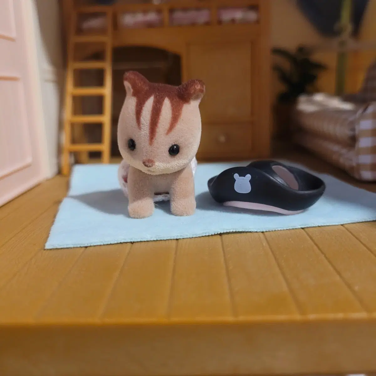 실바니안 해적 다람쥐