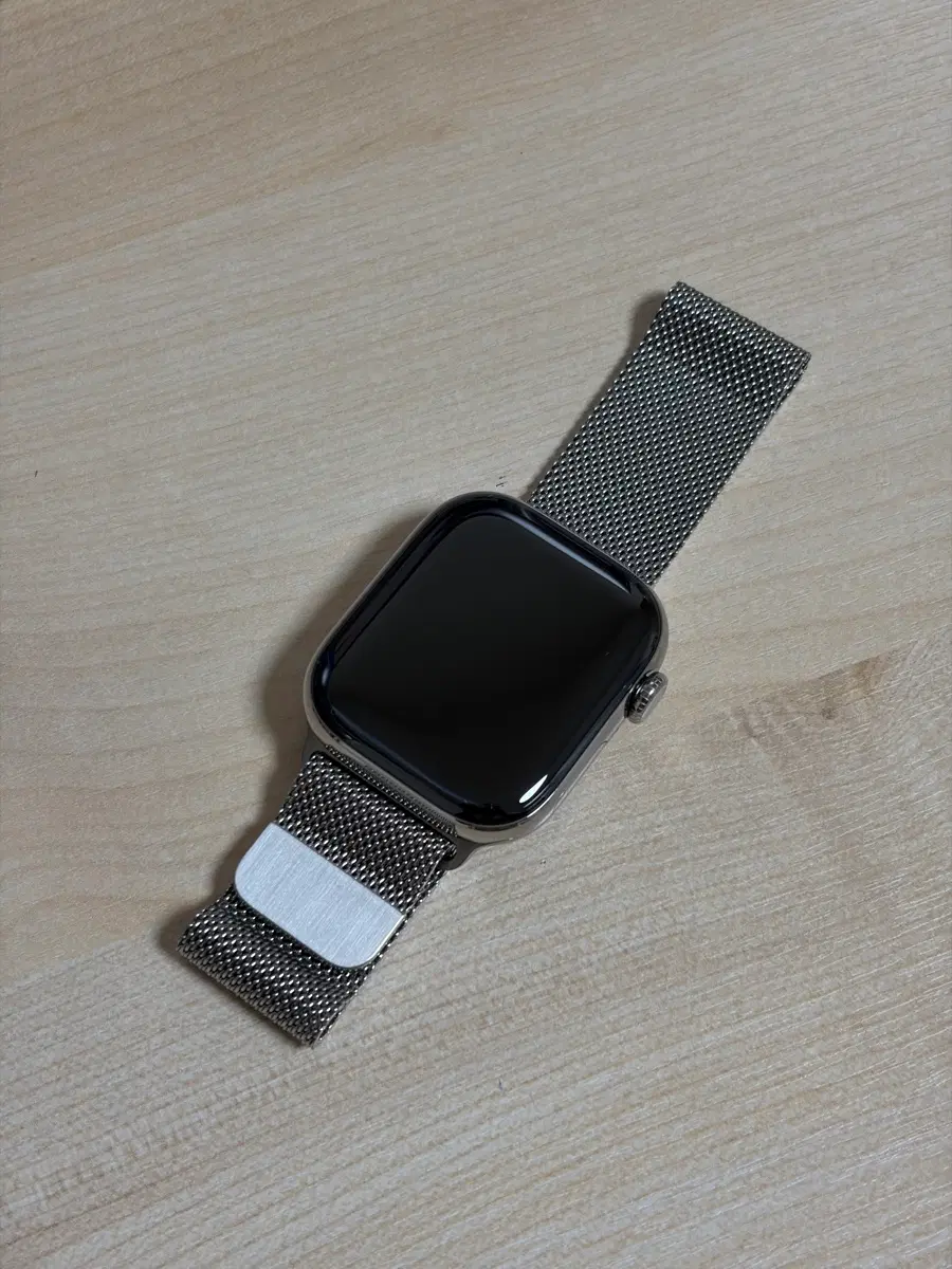 애플워치 11 티타늄 42mm 밀레니즈 루프