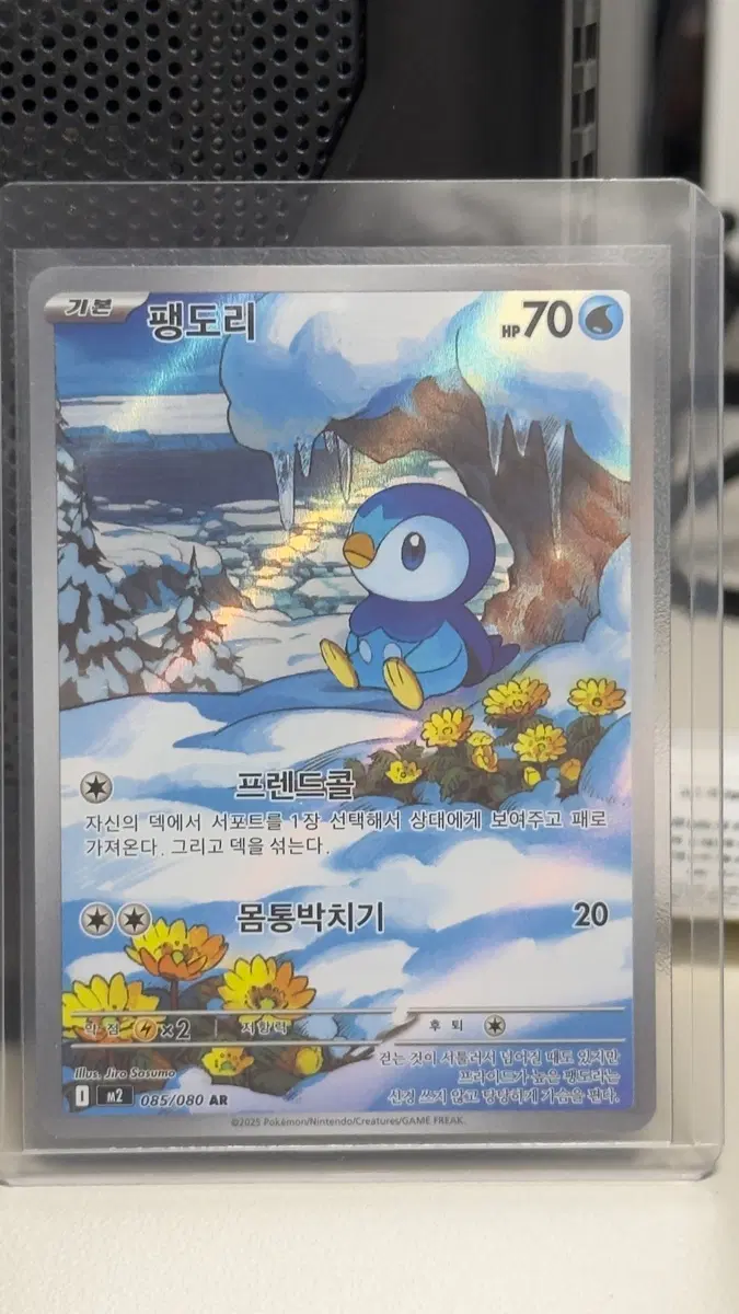 포켓몬카드 팽도리 AR 최상