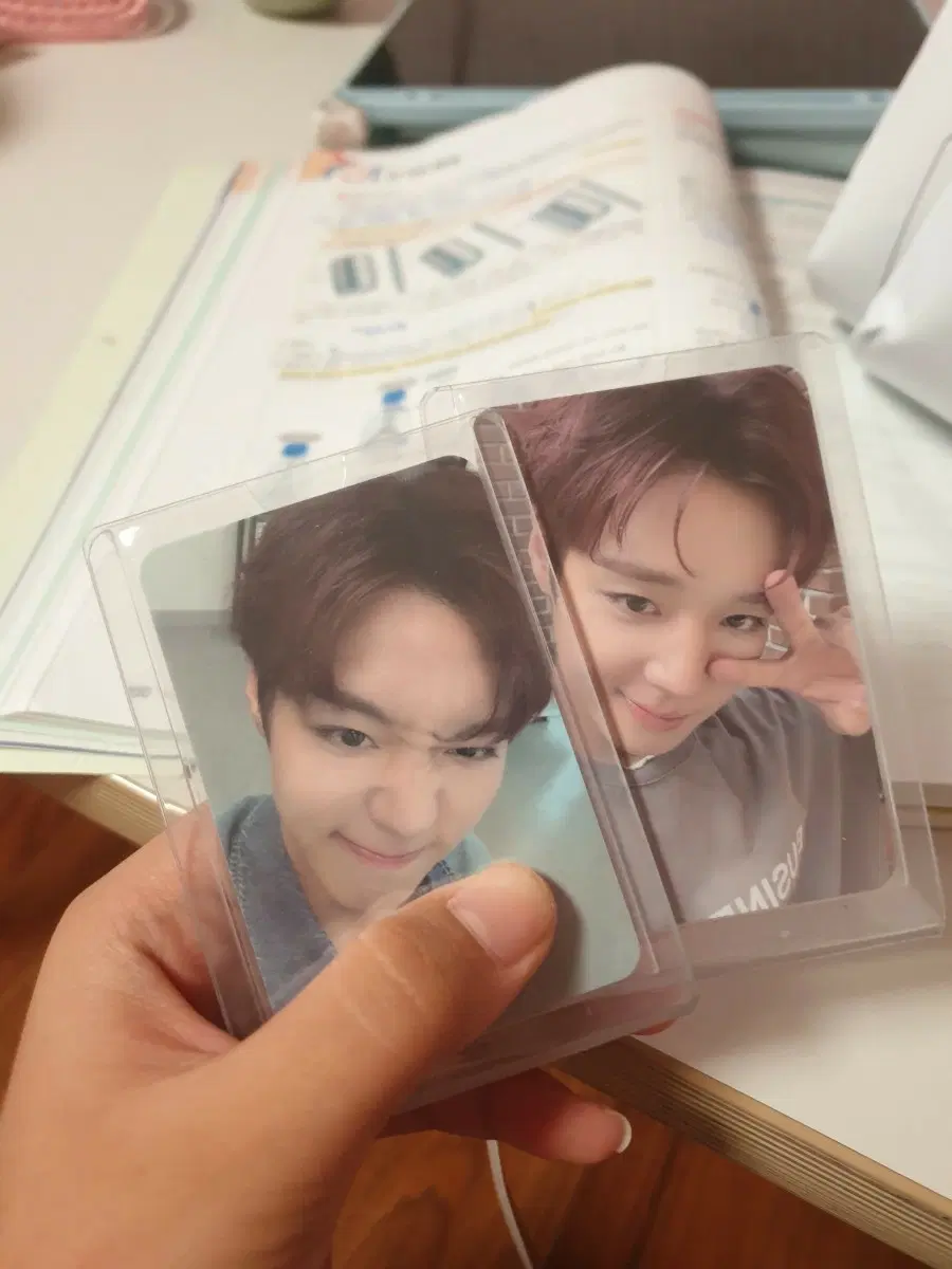 박지훈 더벤티포카
