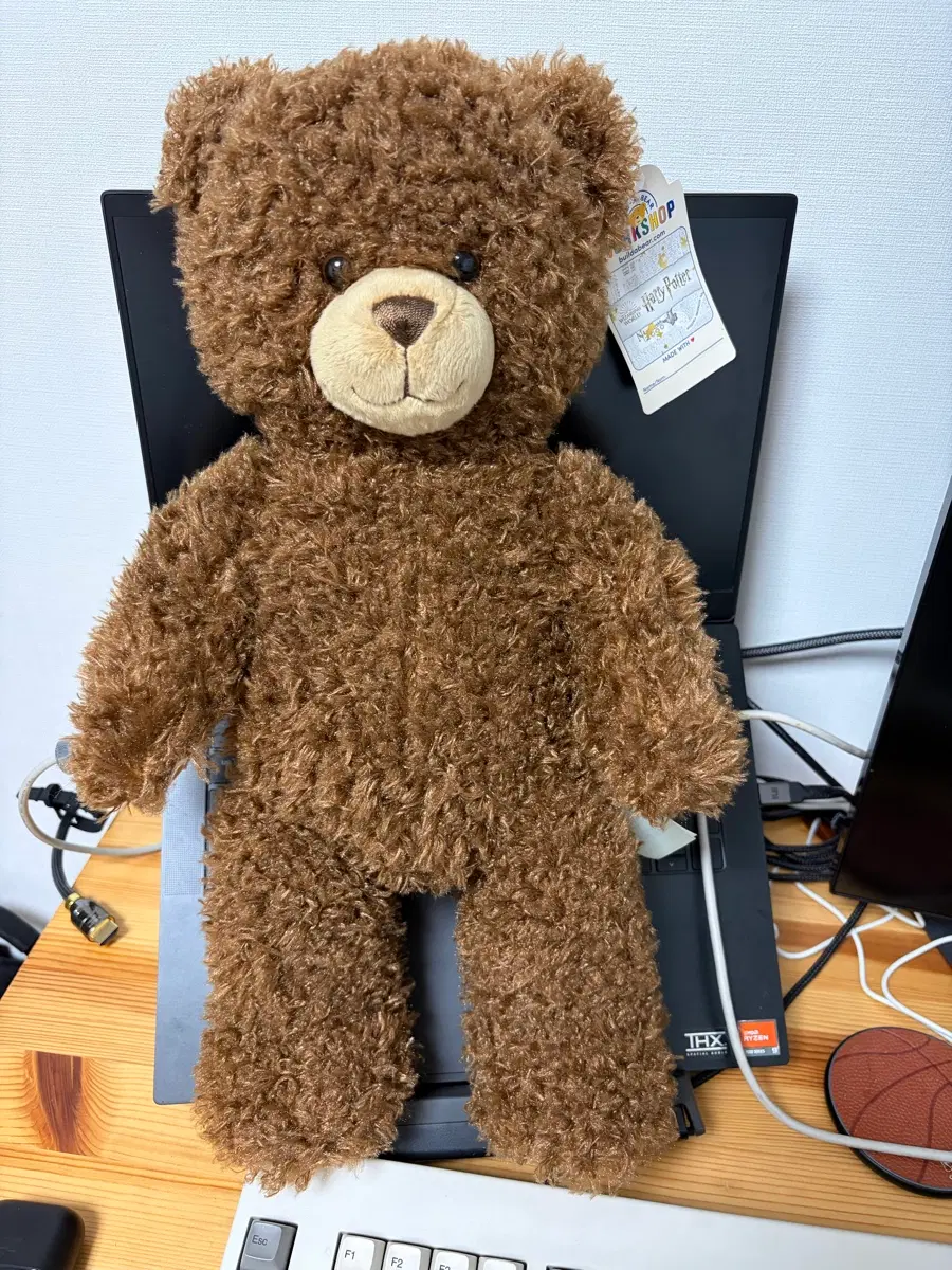 Build a bear 해리포터 인형