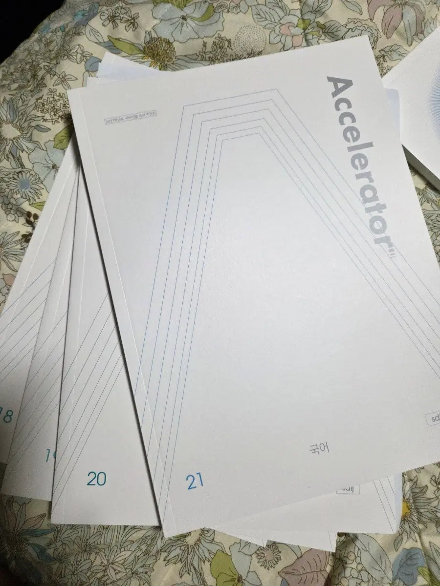 시대인재 국어 엑셀레이터 5권