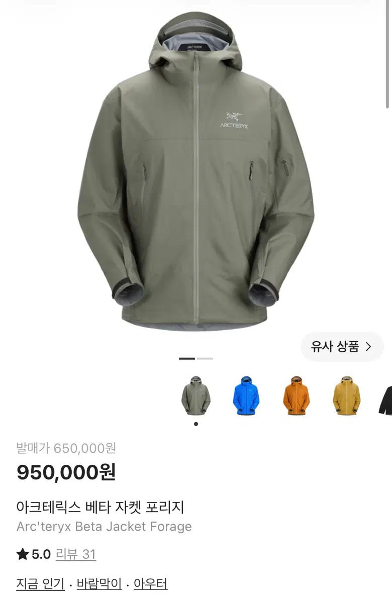 아크테릭스 베타 포리지 L