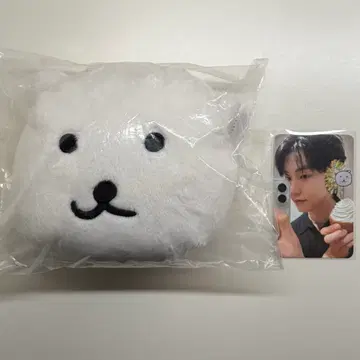 엔플라잉 지곰이 지켜줄곰 파우치 이승협 | 인형/피규어 | 번개장터