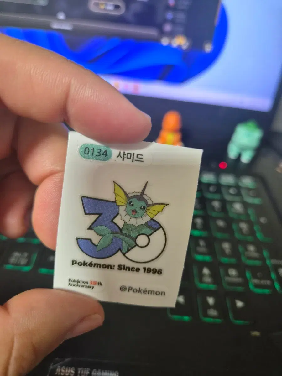 30주션 샤미드 띠부씰