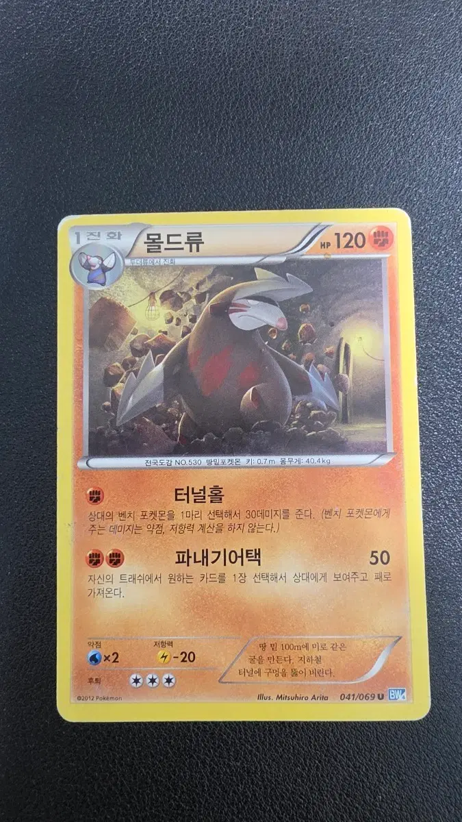 포켓몬 카드 몰드류 bw4 041