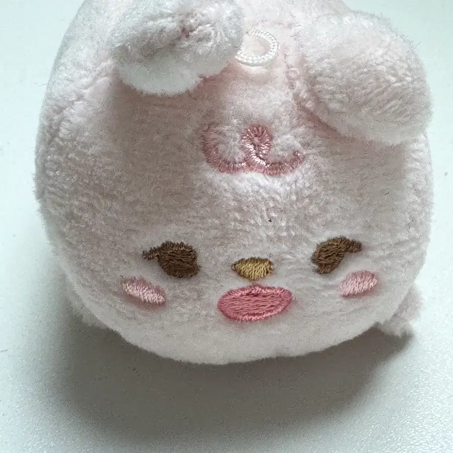데이식스 쁘띠멀즈 필 사족보행