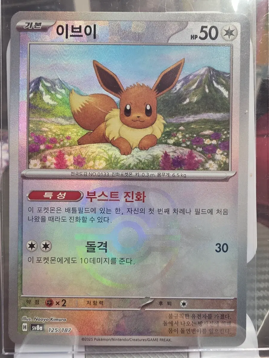 포켓몬 카드 이브이 부스트 진화 125/187 마스터볼 마볼
