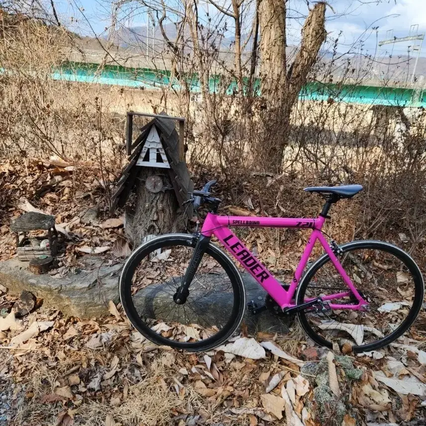 リーダー721 ピクシー 自転車