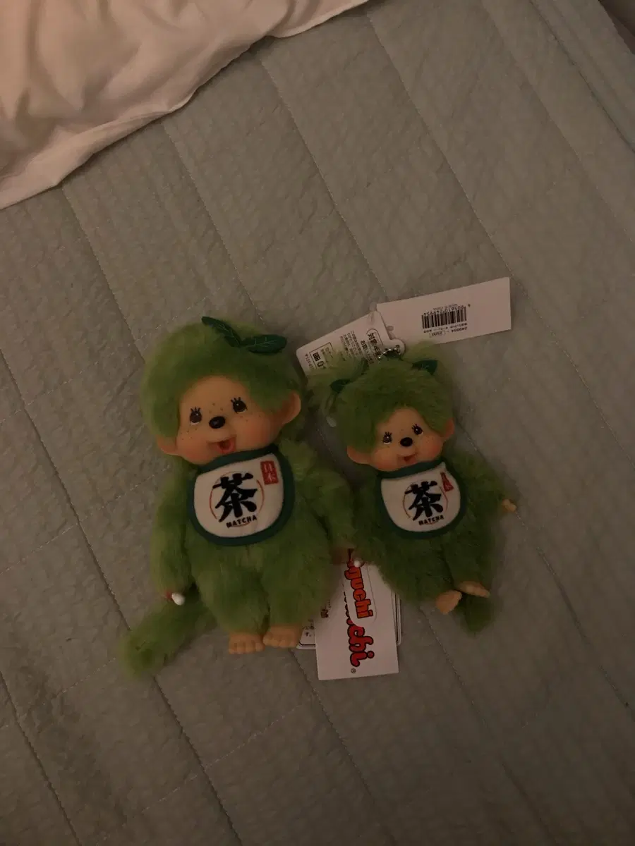 말차 몬치치