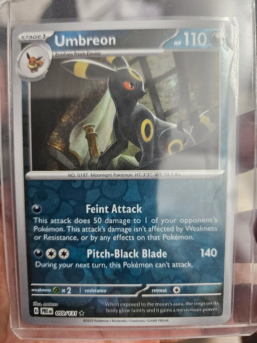 포켓몬카드 북미 블래키 리버스홀로 131/110 Umbreon