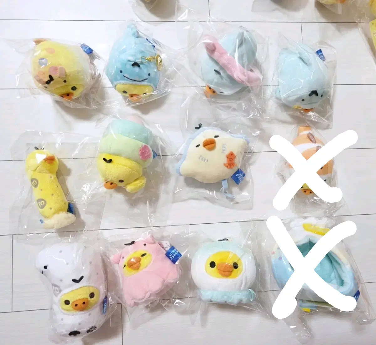 본문)산엑스 리락쿠마 키이로이토리 아쿠아리움 가오리 해파리 돌고래 진베상 등