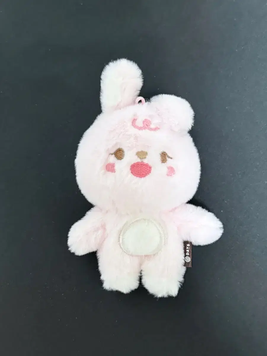데이식스 데니멀즈 필 인형키링