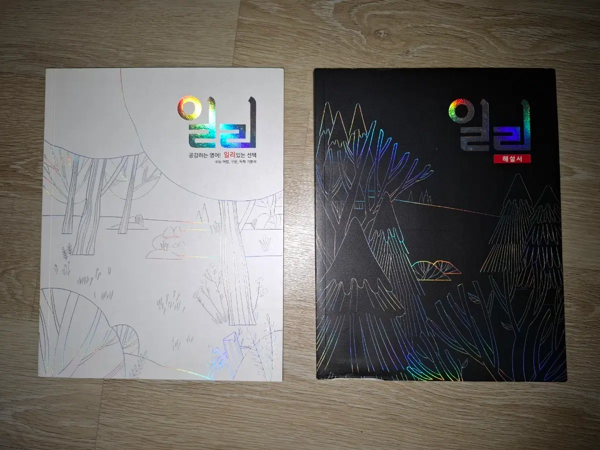 대성마이맥 이명학 일리 본교재, 해설서