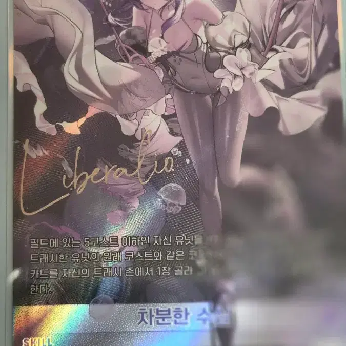 리버렐리오 차분한수심 사인카드 SPR , 아니스스타 사인카드 SPR