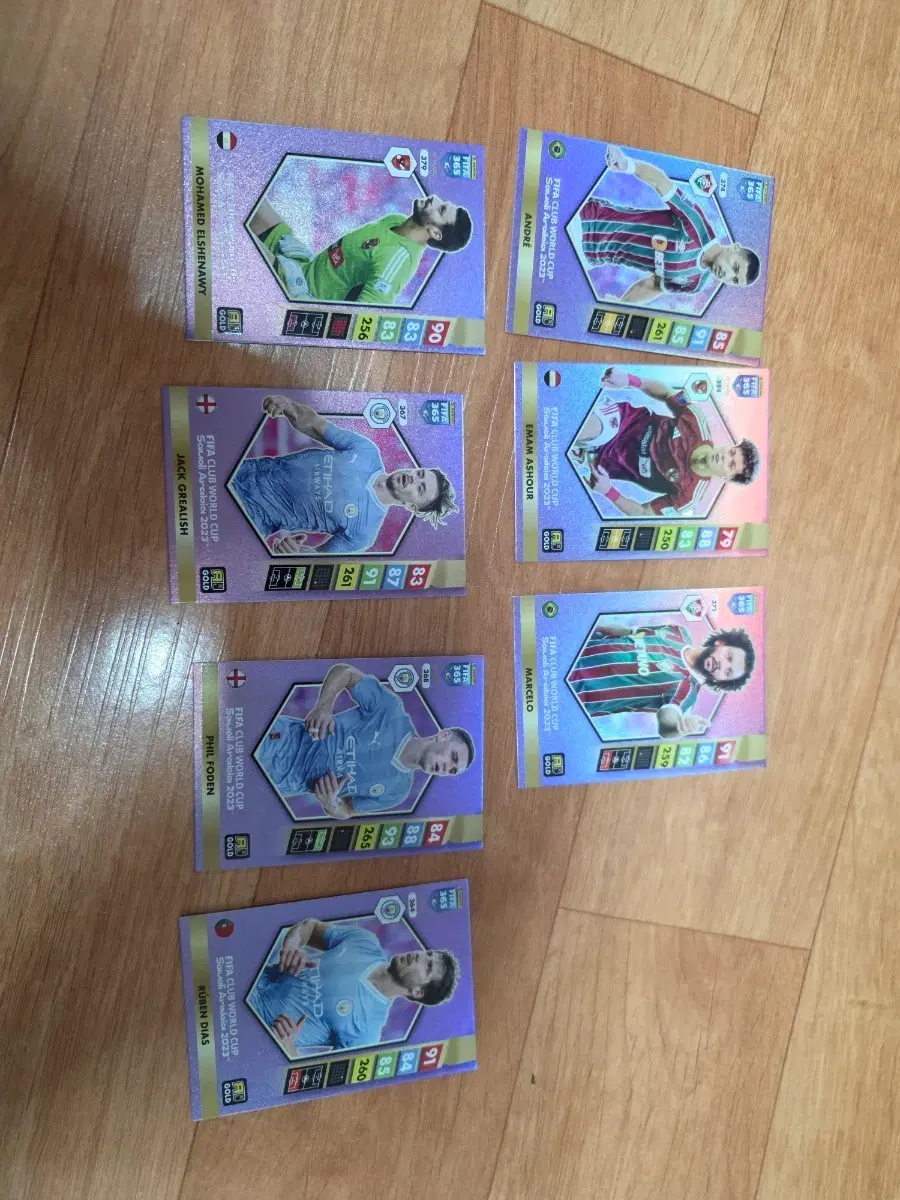 파니니 FIFA 365 카드