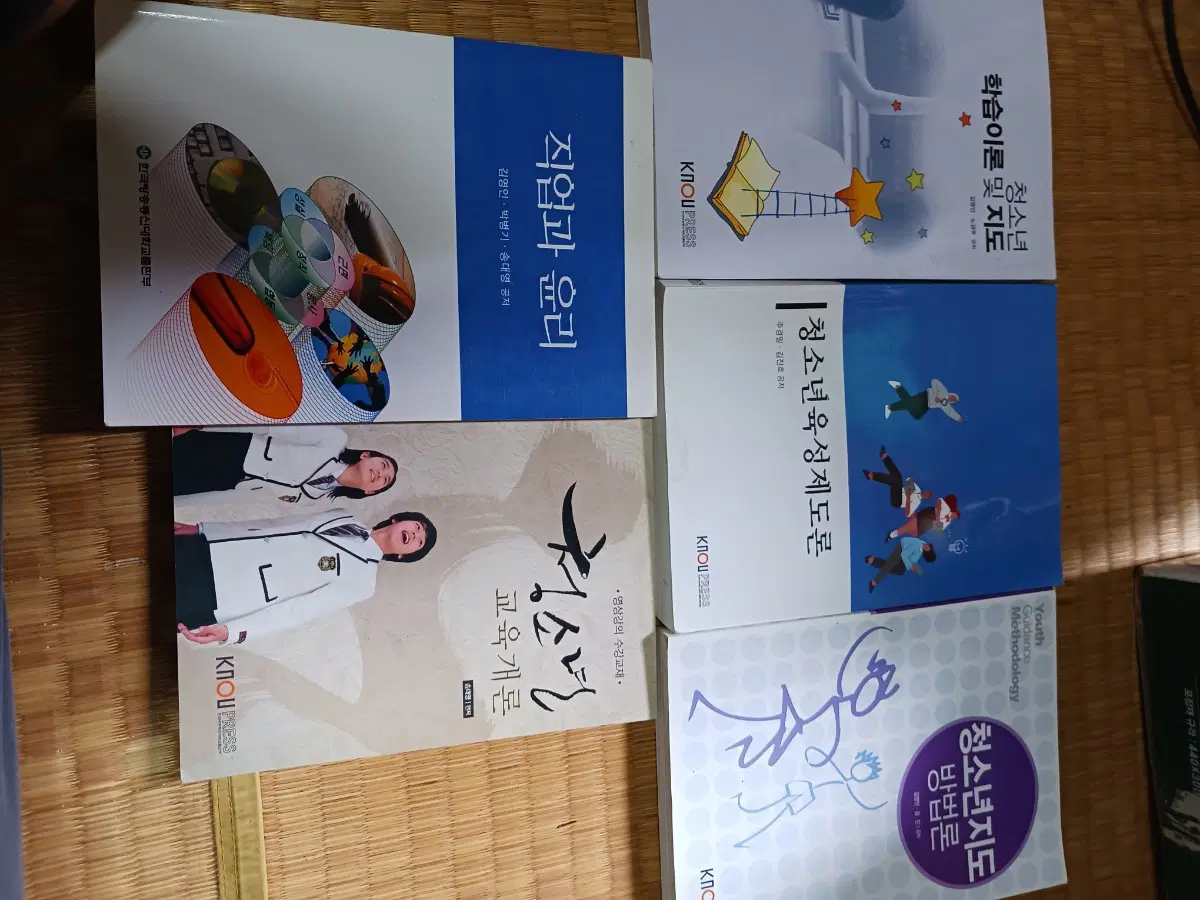 청소년 학습이론 및 지도, 교육개론, 직업과 윤리, 육성제도론, 지도 방법론 ...방통대 청소년 교육과 교제