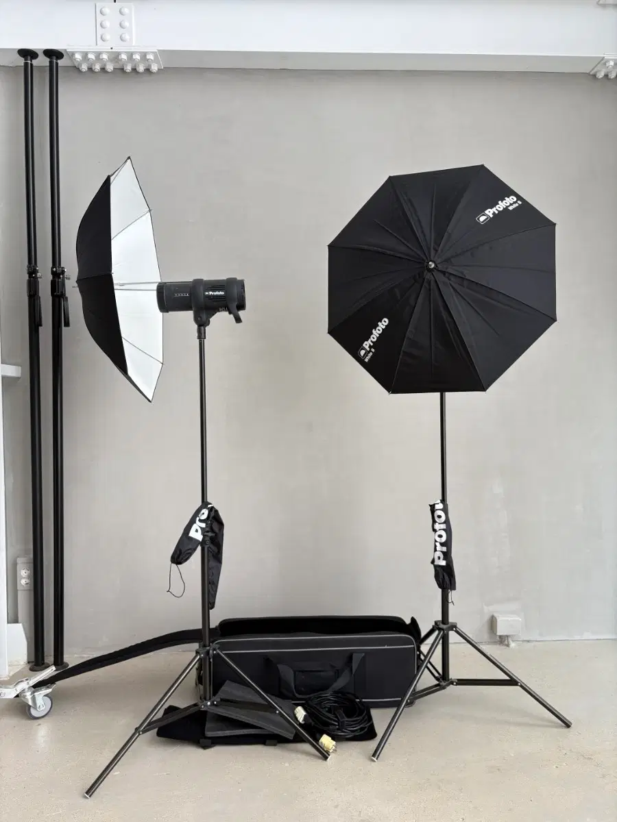 profoto D1 500 w/s 2 monolight studio kit (프로포토 모노라이트세트)