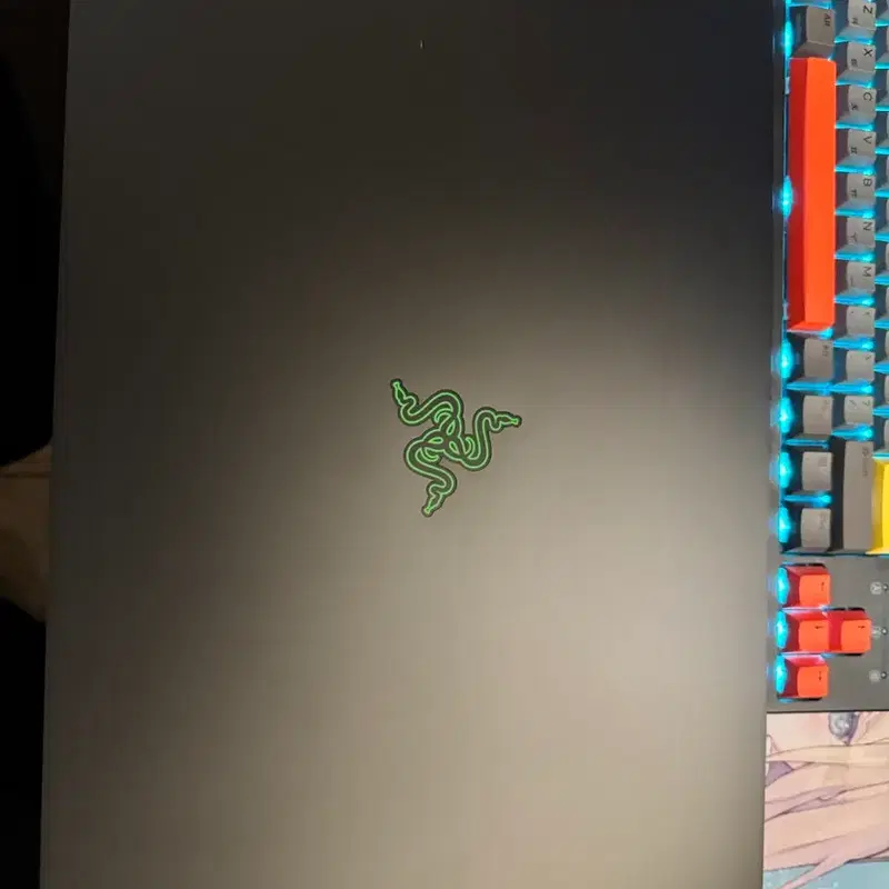 레이저 블레이드 18 i9 14900HX/ RTX4080 SSD 1TB 메모리 32GB 초고사양 게이밍 노트북