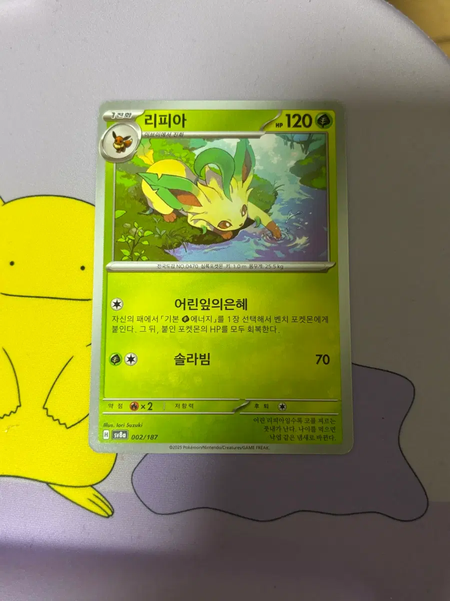[포켓몬카드] 리피아 2025