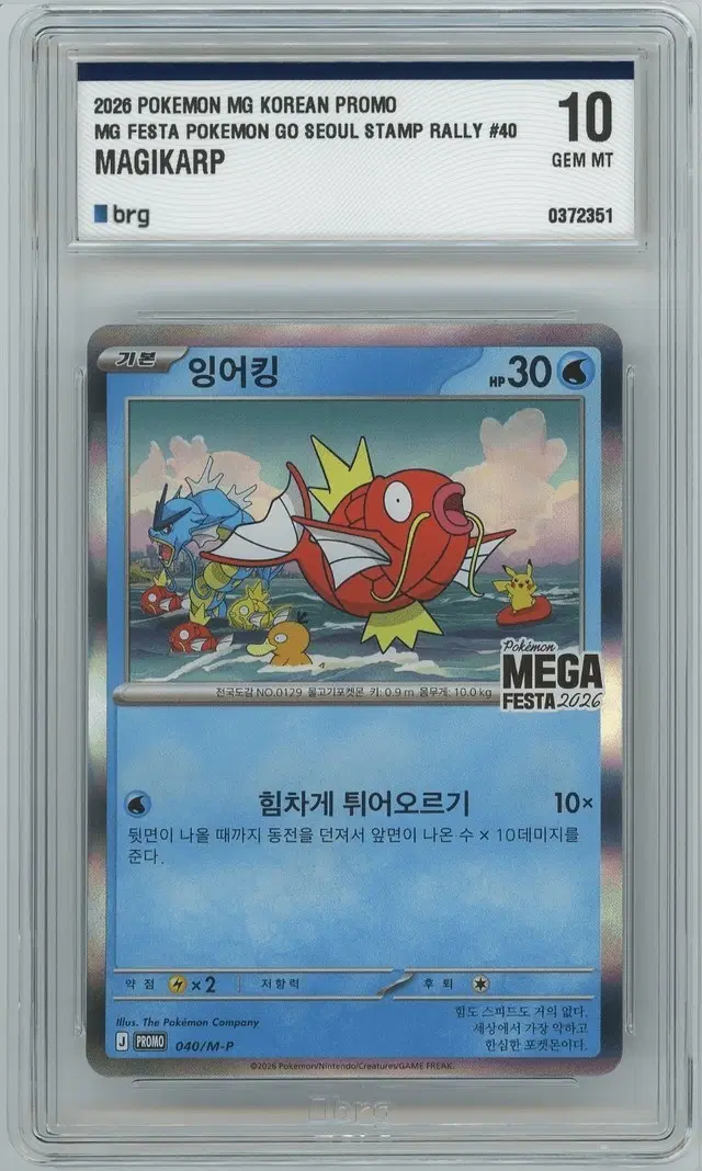 2026 잉어킹 프로모 BRG10 등급 (잔여 3장)