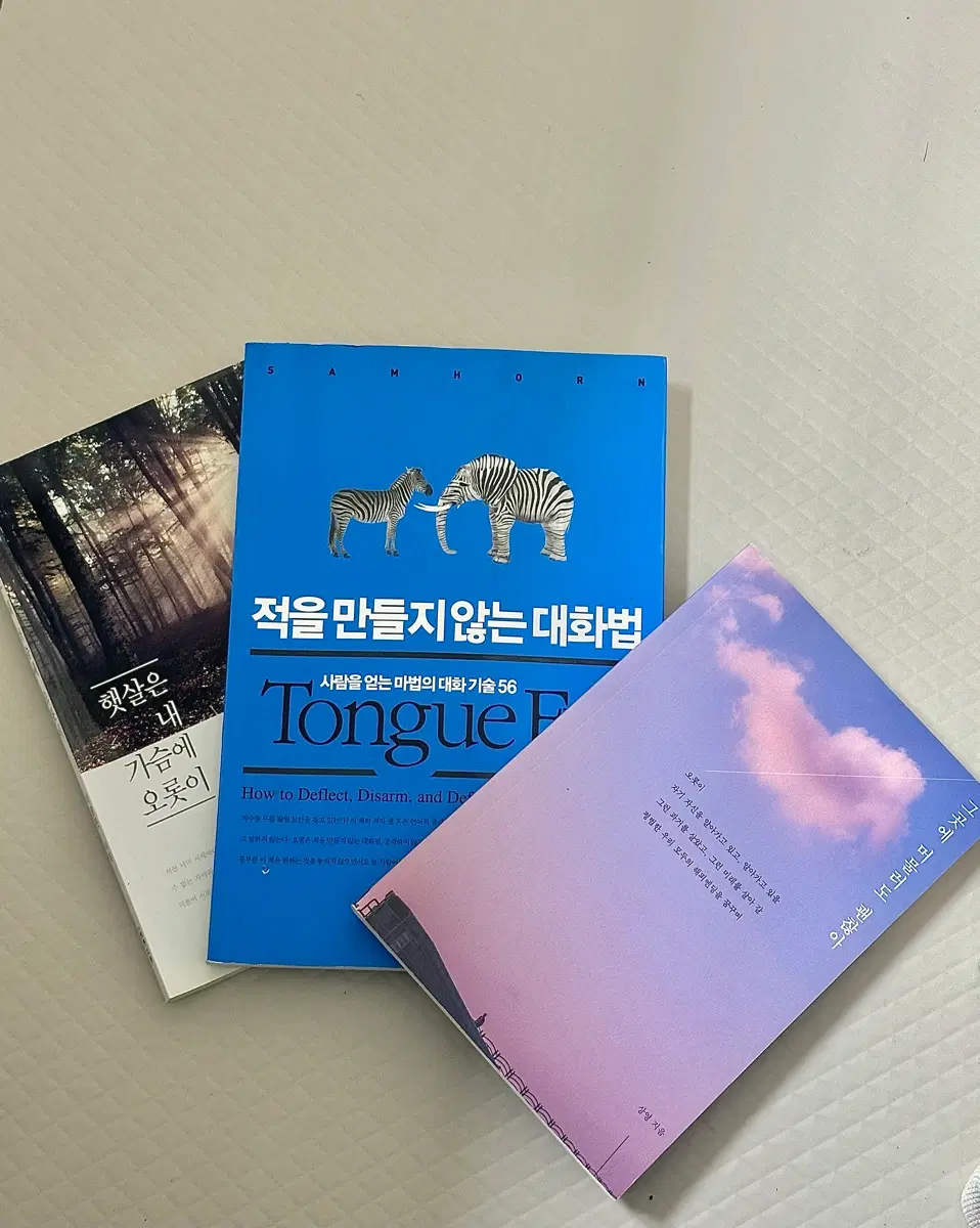 책3권) 적을 만들지 않는 대화법,그곳에 머물러도 괜찮아,햇살은 내 가슴에 오롯이