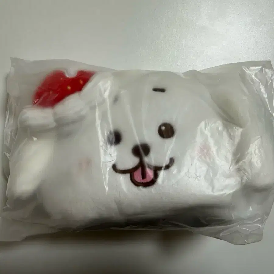 엔시티위시 재희 대영 위시베리 댕트리버 파우치