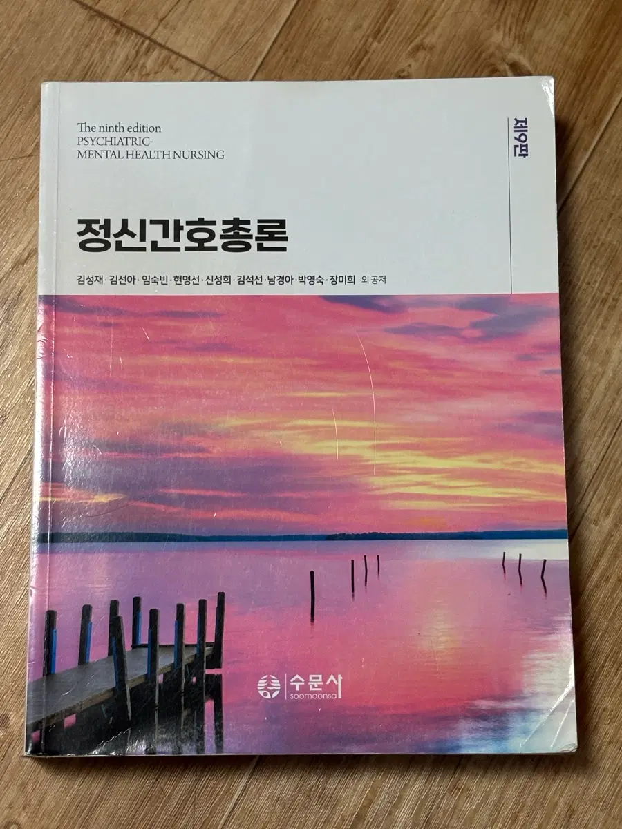 정신간호총론 수문사