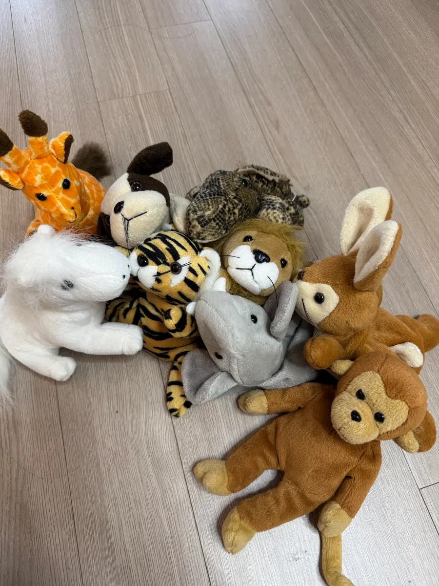 콩제 동물인형 9종 일괄