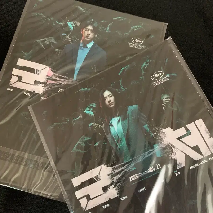 <군체> 아코디언엽서
