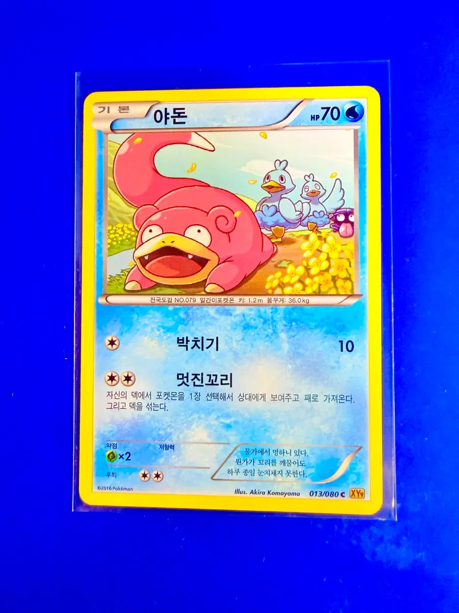 포켓몬카드 2016년 고대카드 XY9 야돈 꼬지보리 카드