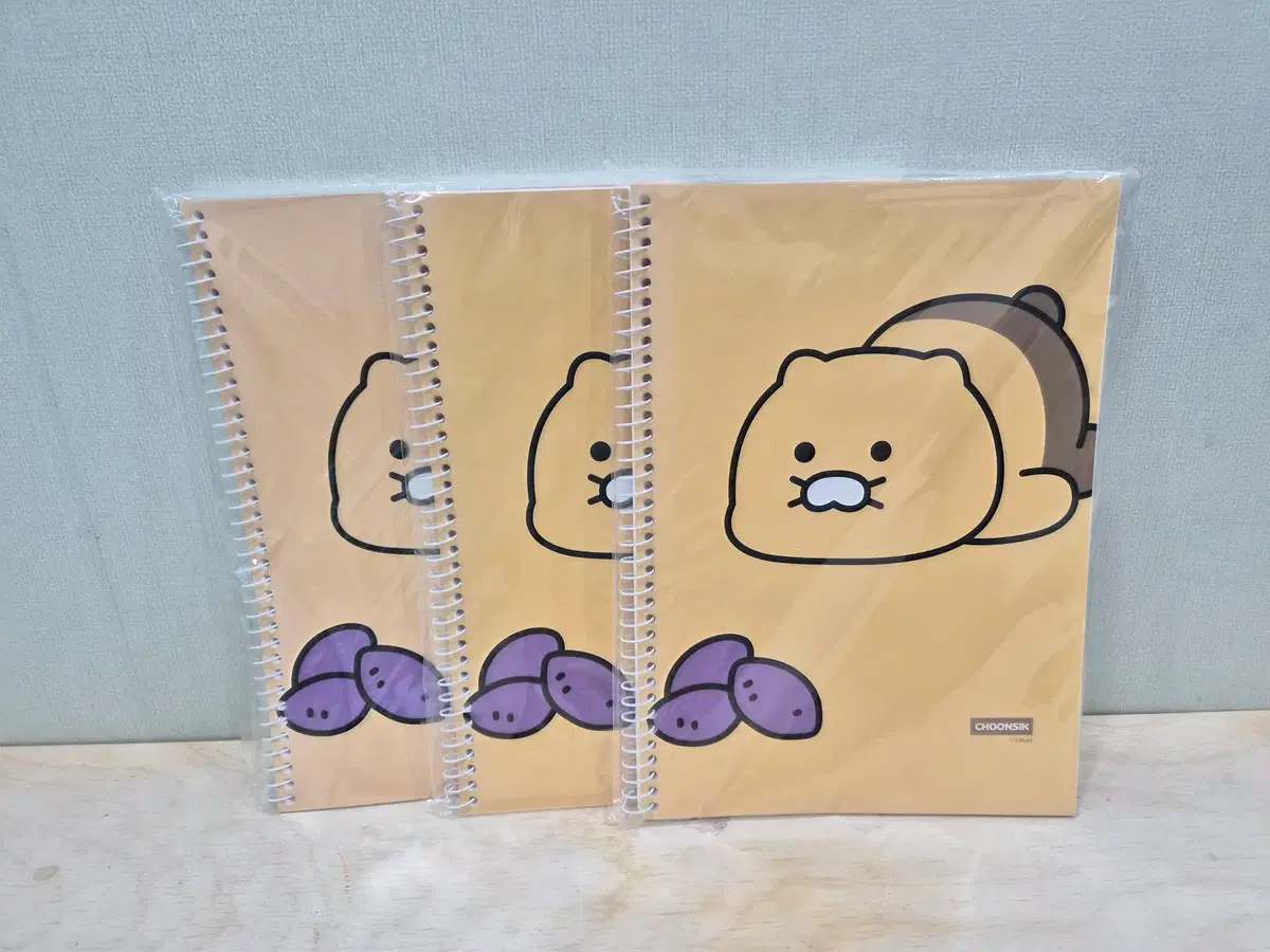 카카오프렌즈 노트