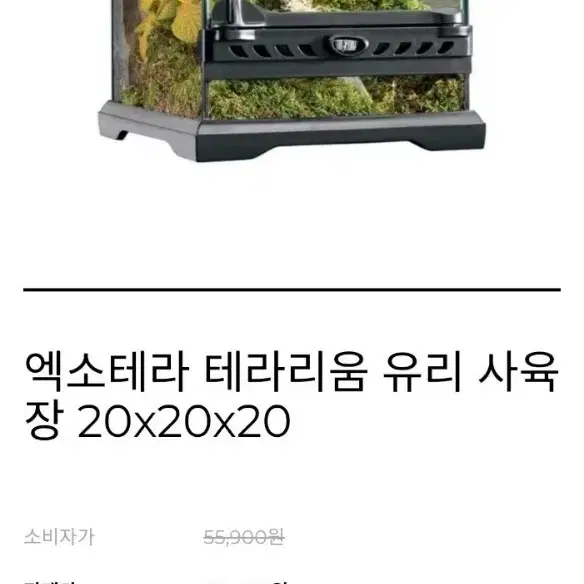 엑소테라 테라리움 유리 파충류 도마뱀 사육장 20x20x20