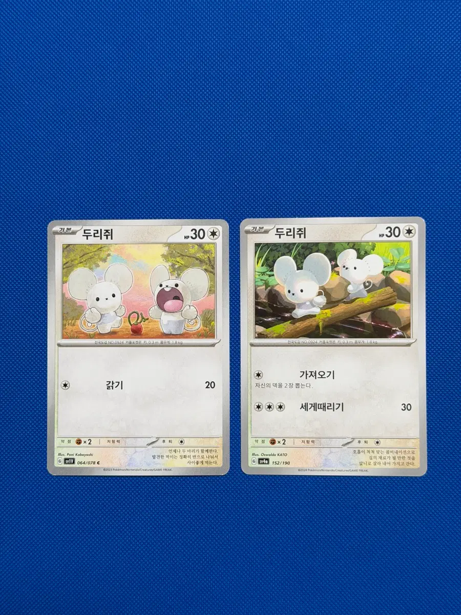 귀여운 포켓몬 카드 두리쥐 2장 sv1v