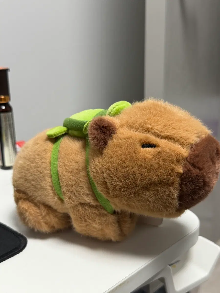 택o) 카피바라 인형