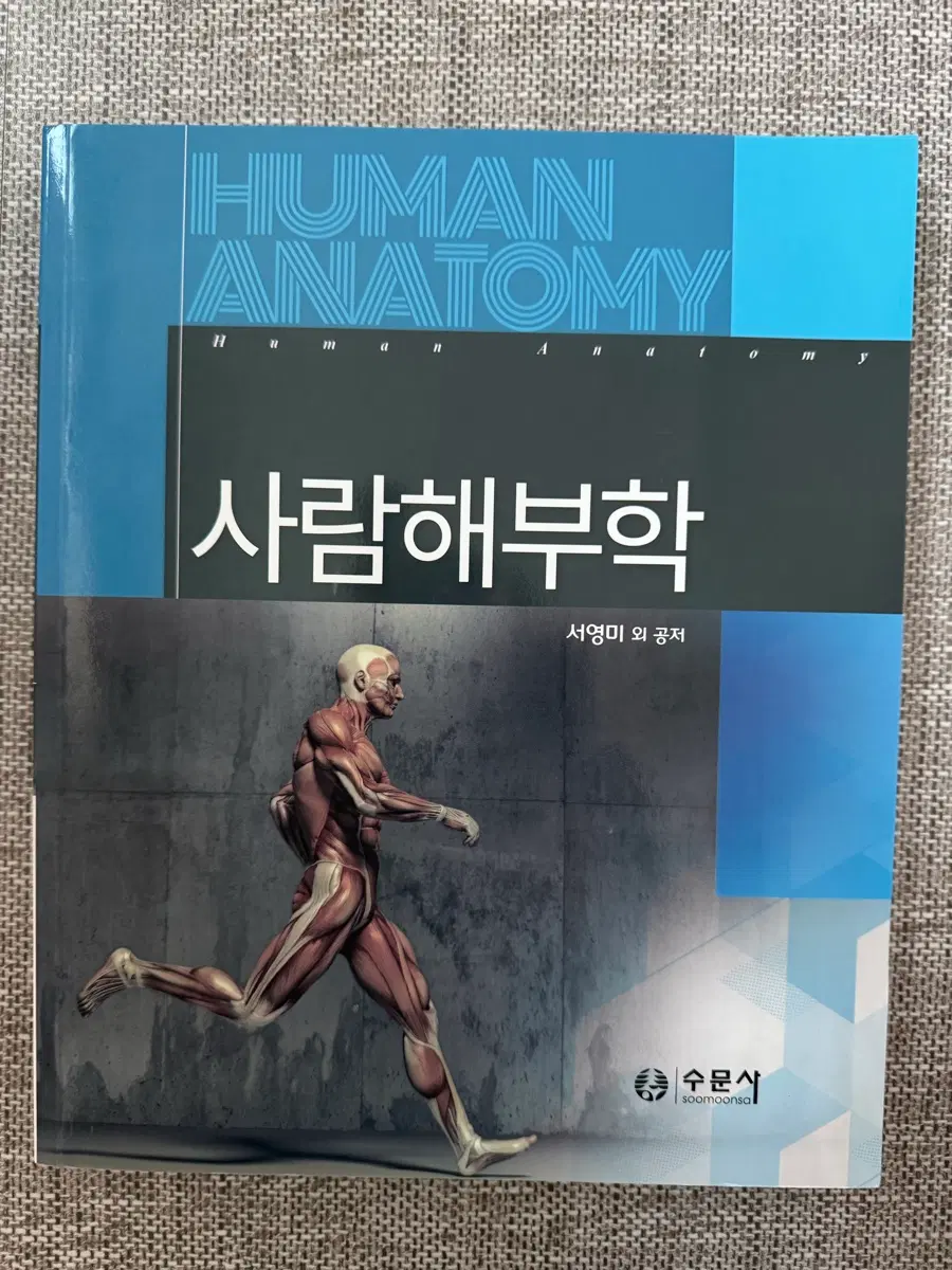 사람해부학 수문사