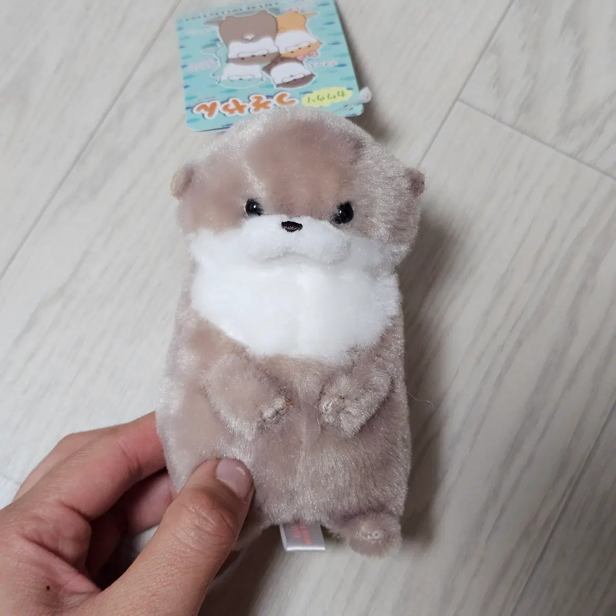 우소우소짱 수달 인형