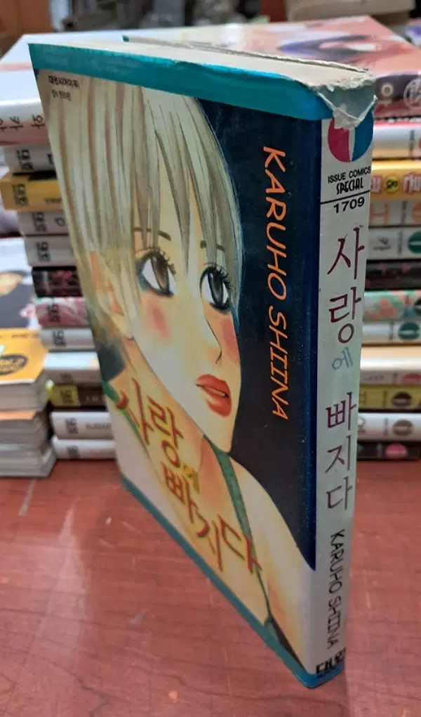사랑에 빠지다 /상태(중-표지낡음)/대원