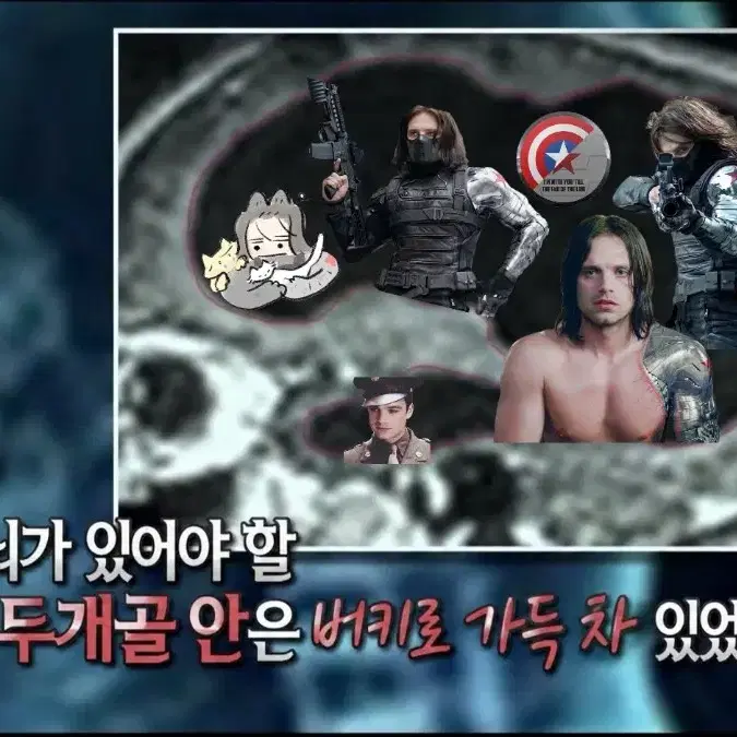 스팁버키 회지,굿즈사요