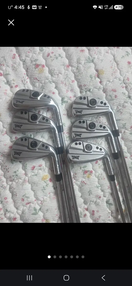 PXG 아이언 젠4 세트 NS950R   5-P