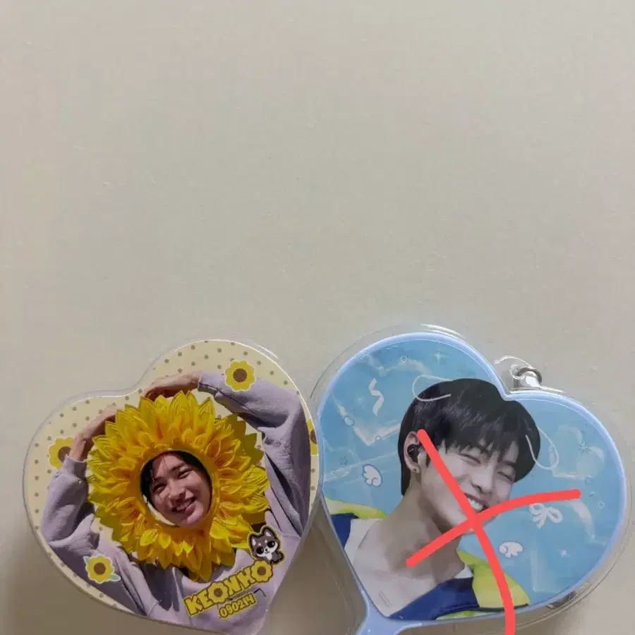 코르티스 안건호 미니 우치와