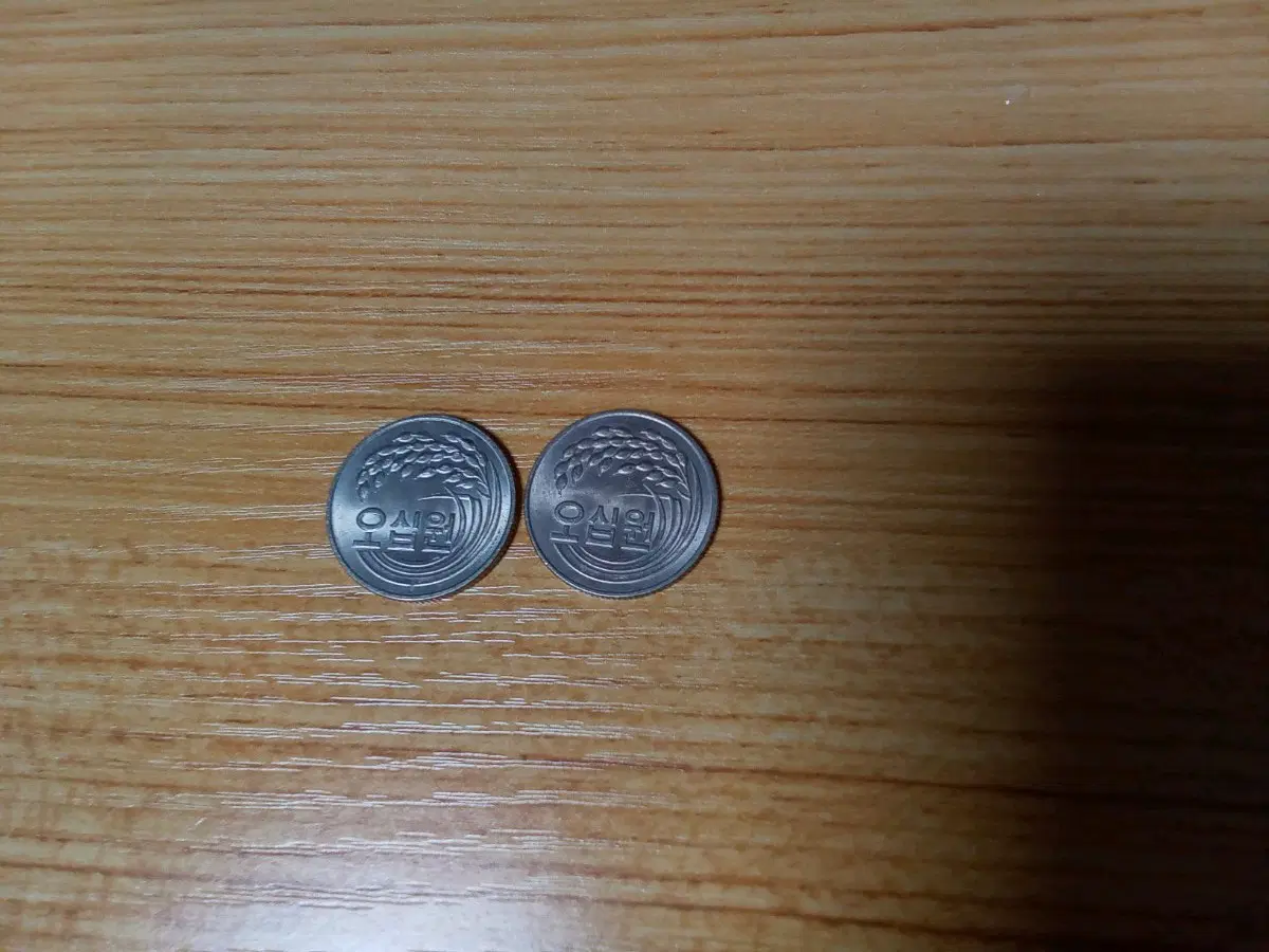 1981년 50원 미품